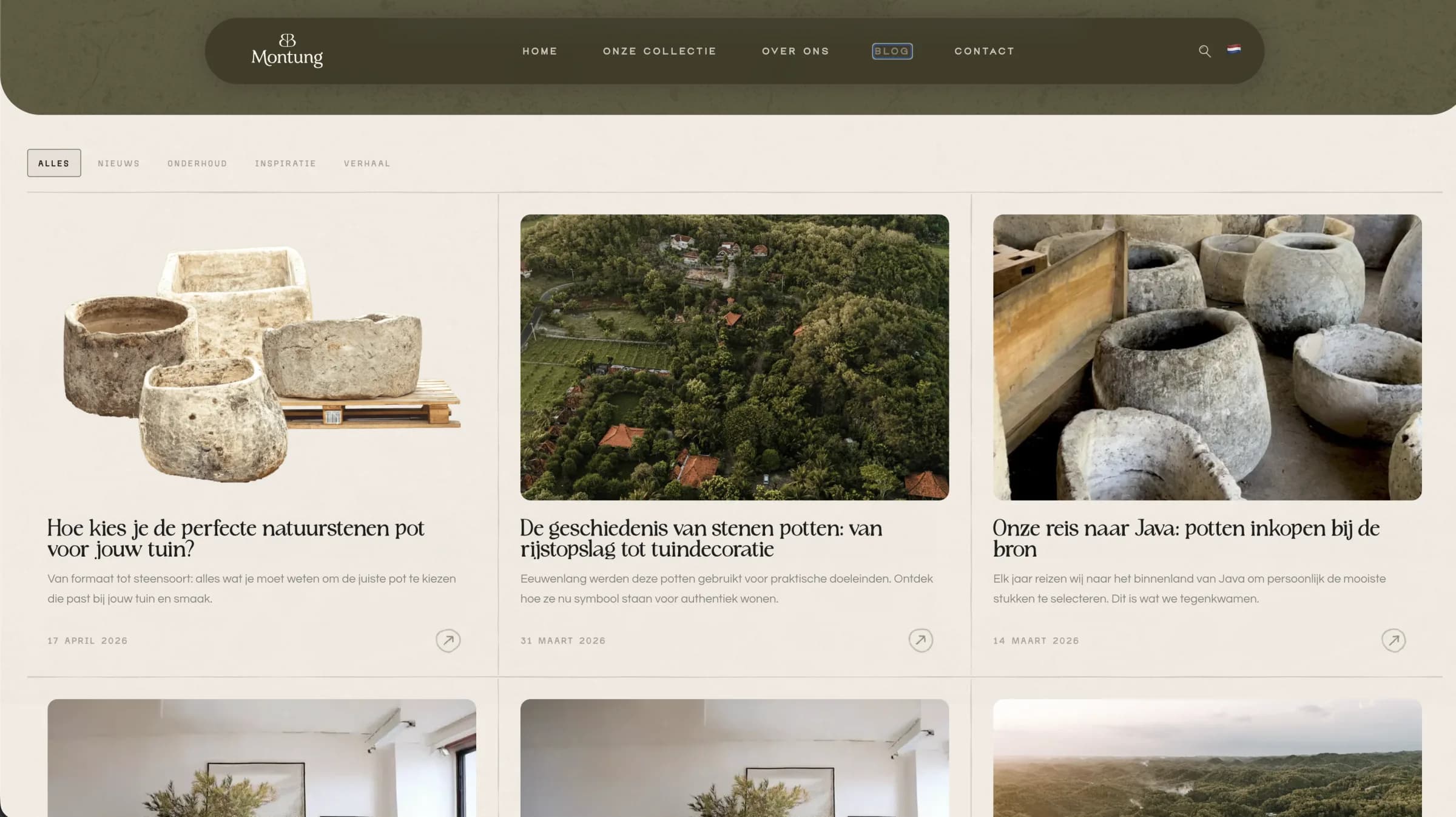 Montung website preview